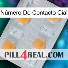 Número De Contacto Cial 24